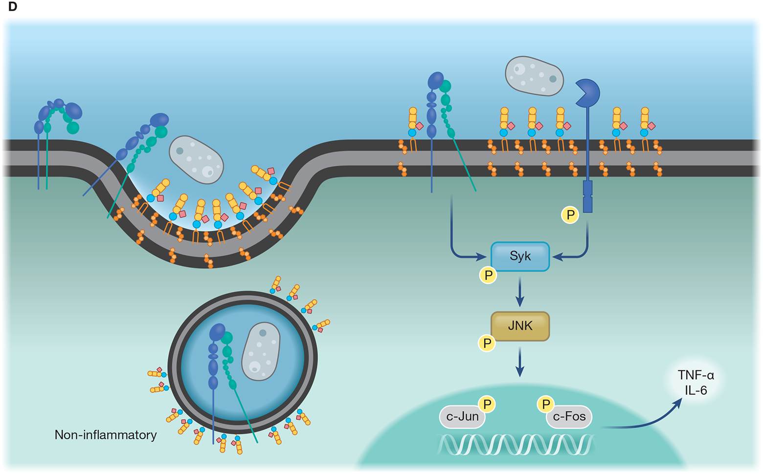 Figure 1-