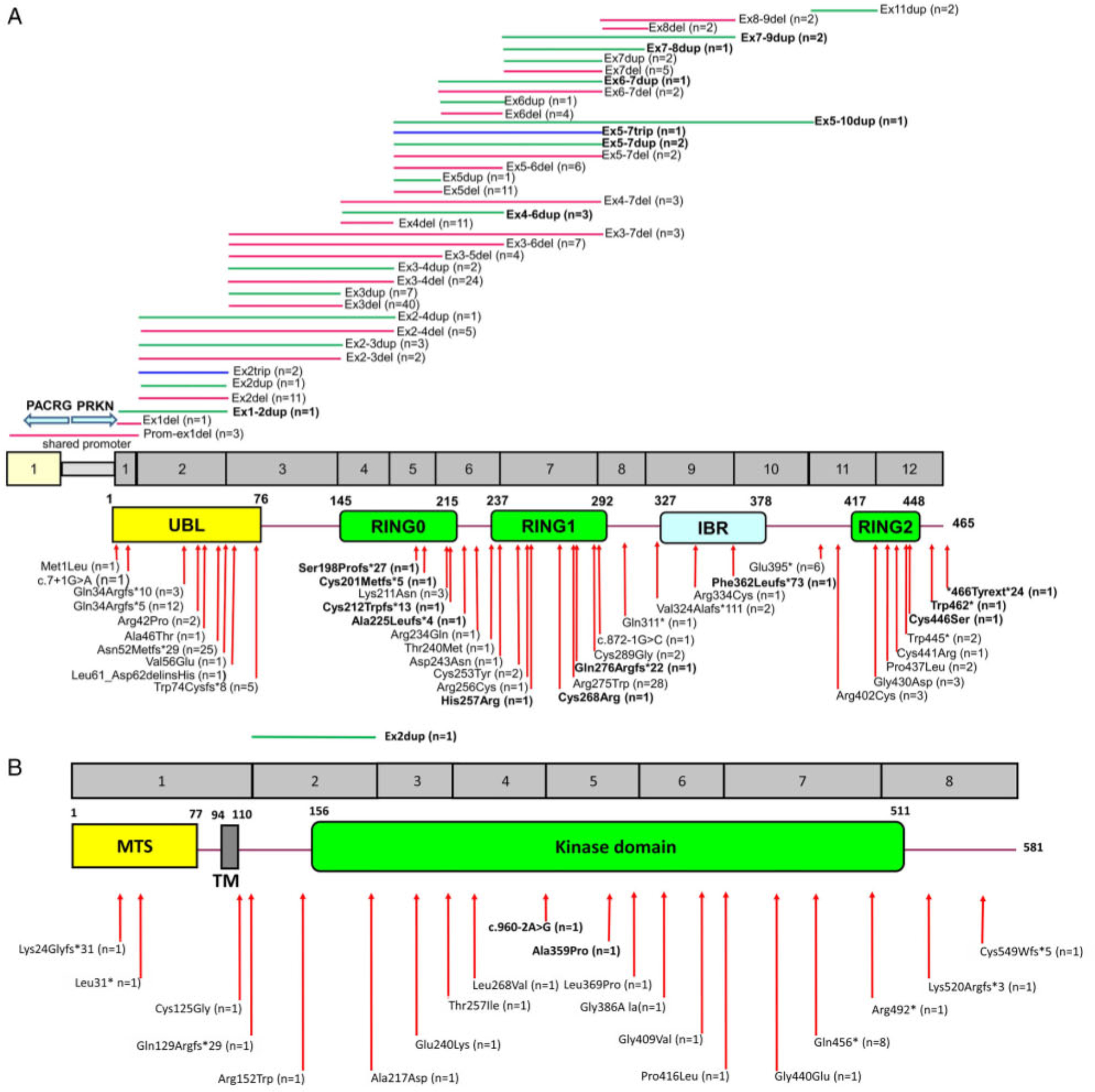 FIGURE 1: