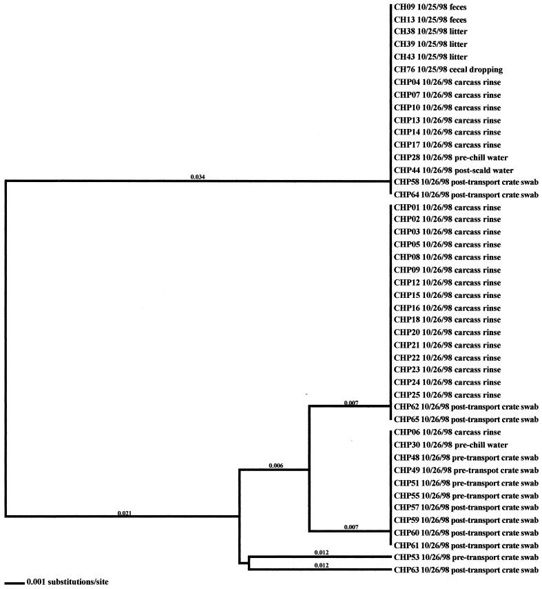 FIG. 7.