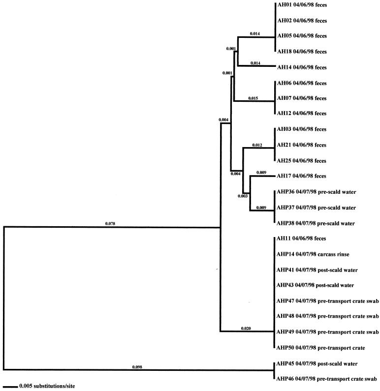 FIG. 3.