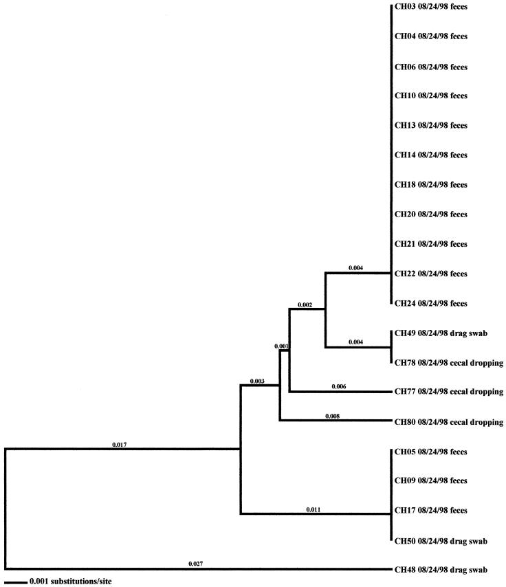 FIG. 6.