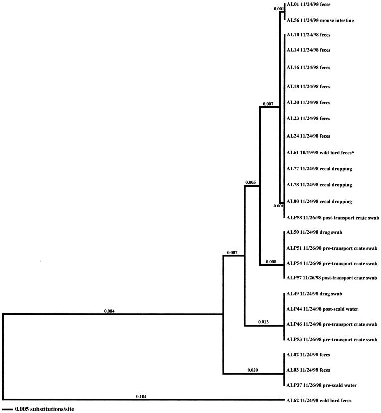 FIG. 1.