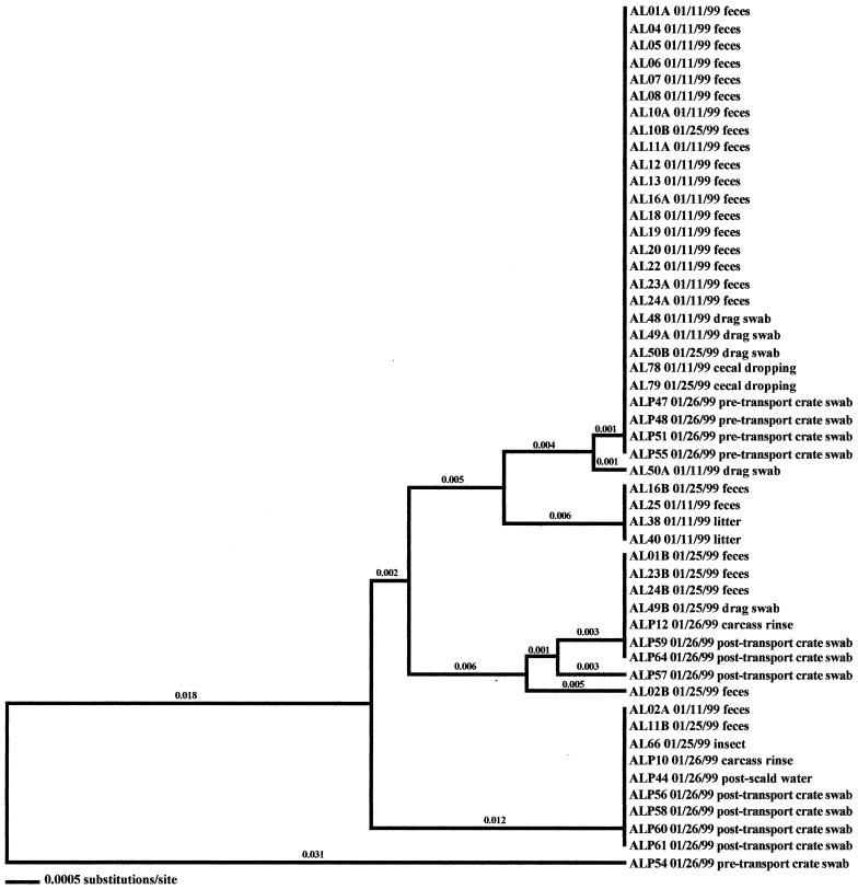 FIG. 11.