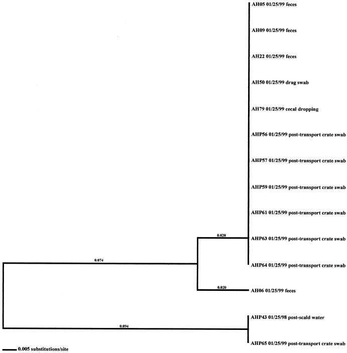 FIG. 10.