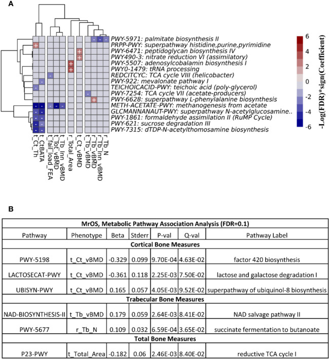 Figure 6