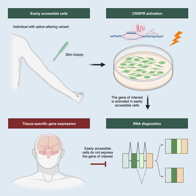 graphic file with name fx1.jpg