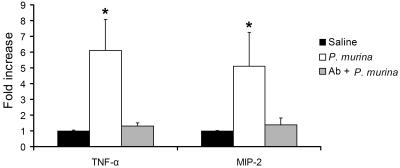 FIG. 5.