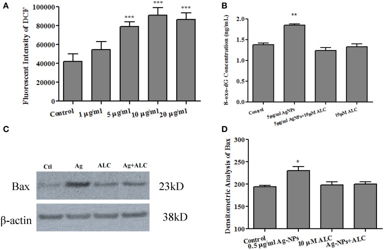 Figure 5