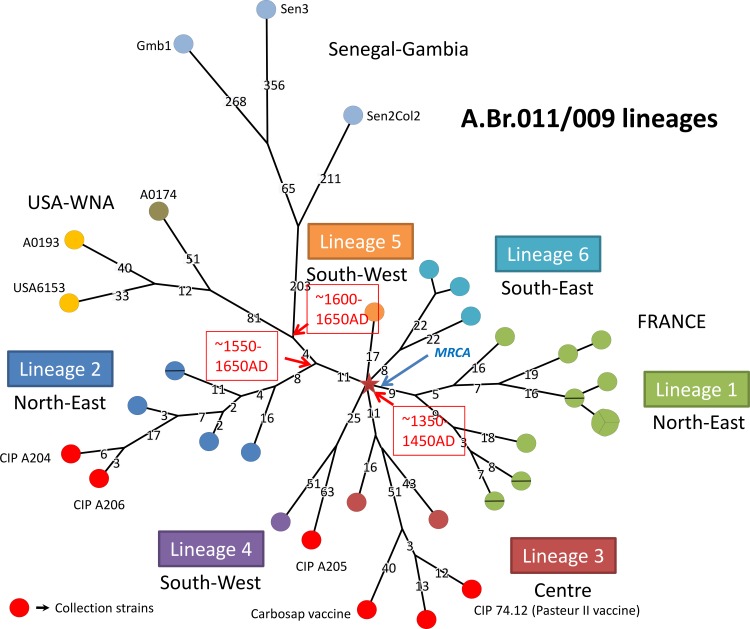 Fig 2