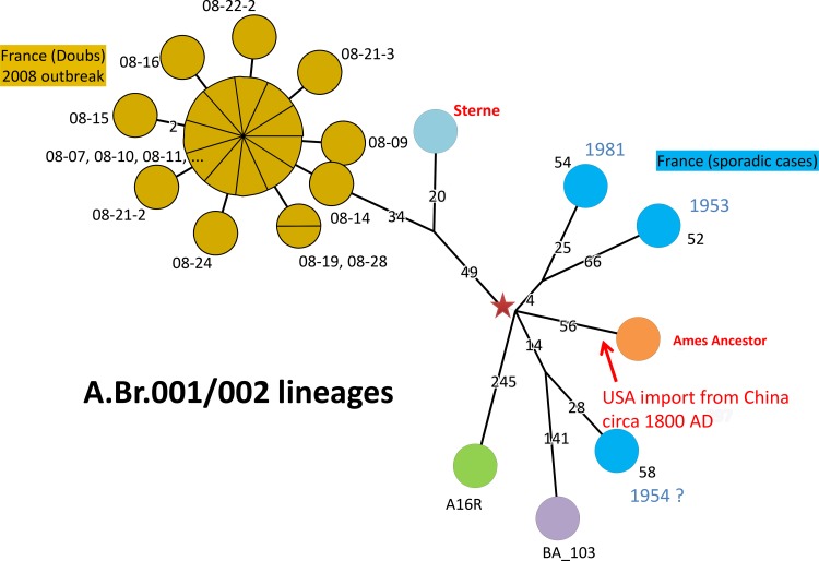 Fig 3