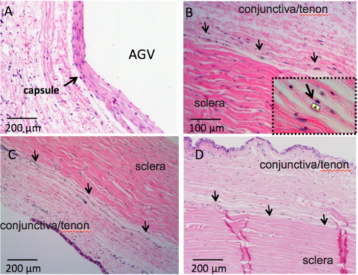 Fig 5