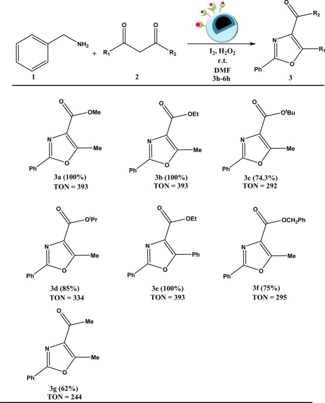 Scheme 2