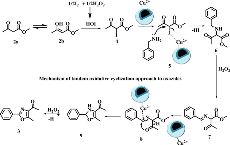 Scheme 5