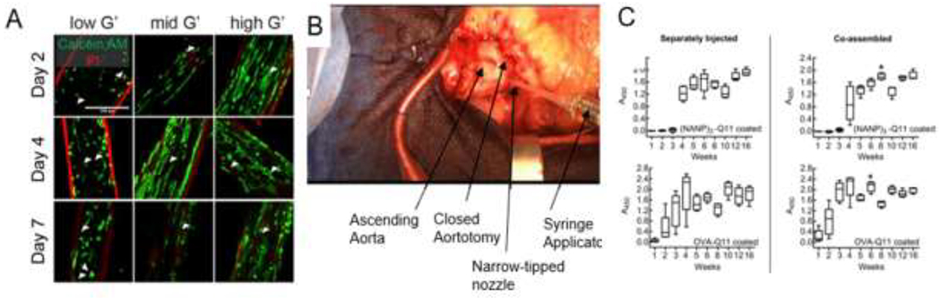 Figure 14.