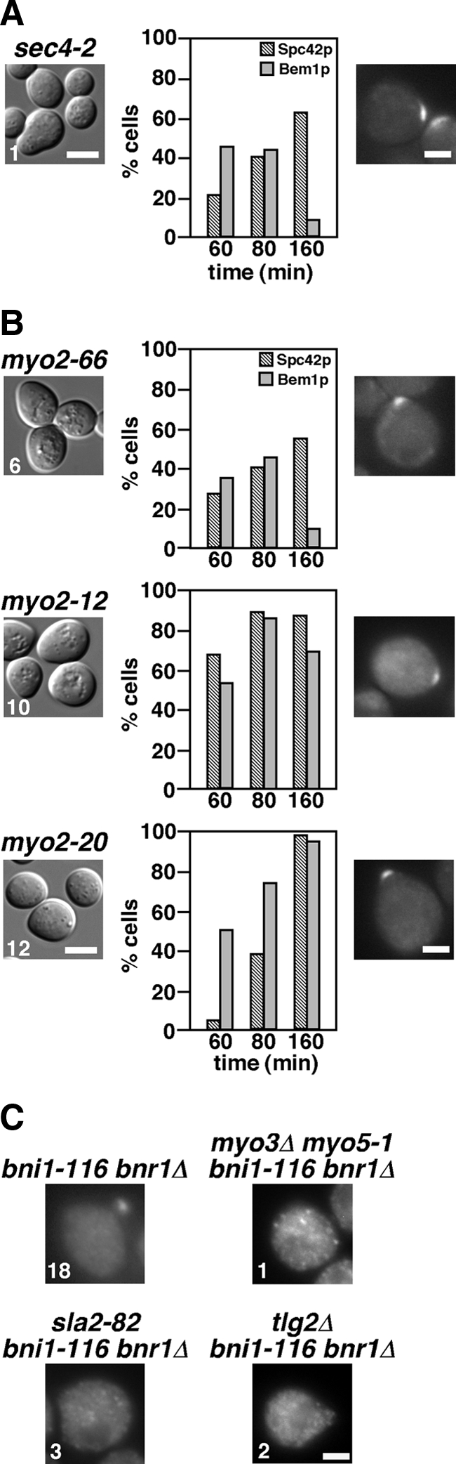 Figure 9.