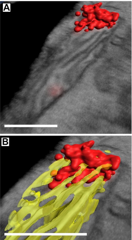 Fig. 3.