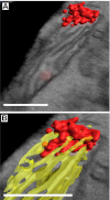 Fig. 3.