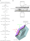 Fig. 1.