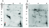 FIG. 3.