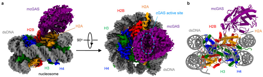 Figure 2.