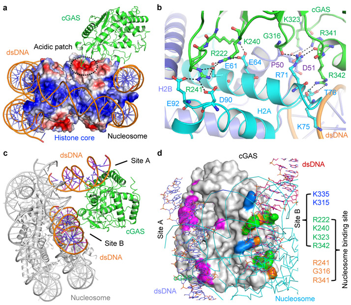 Figure 3.