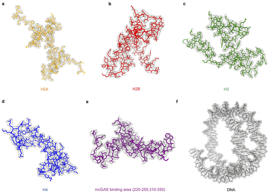 Extended data Figure 4.