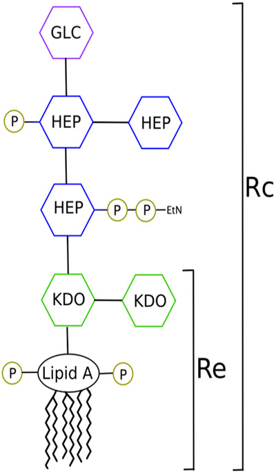 Figure 2.