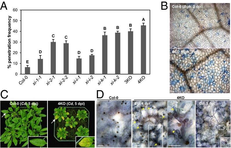 Fig. 4.