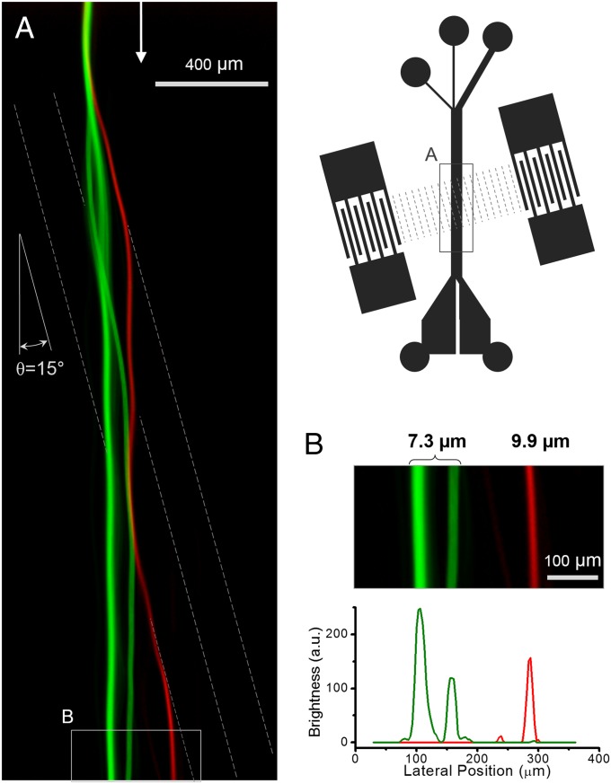 Fig. 2.