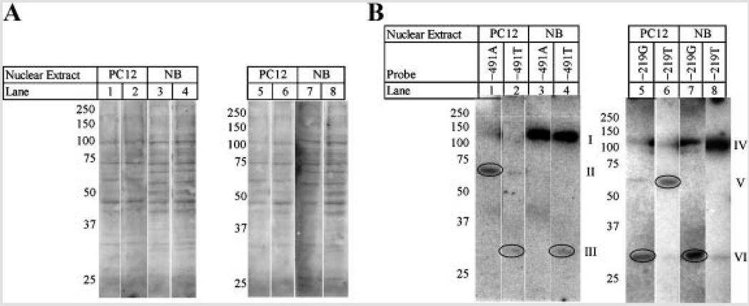 FIG. 9