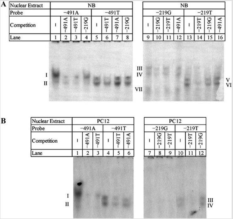 FIG. 8