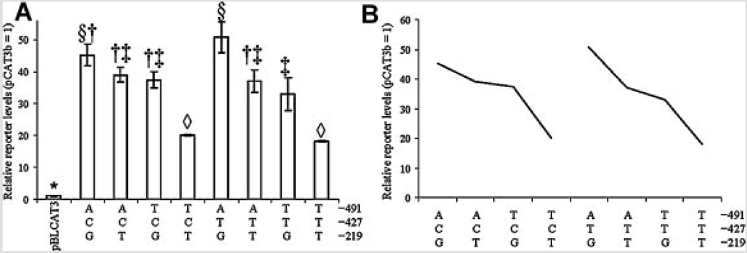 FIG. 6