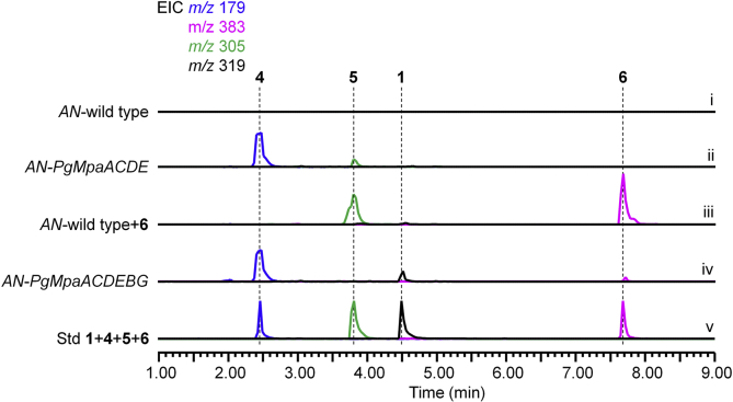 Figure 3