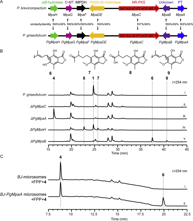 Figure 1