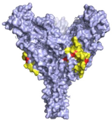 graphic file with name pathogens-10-01201-i009.jpg