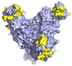 graphic file with name pathogens-10-01201-i006.jpg