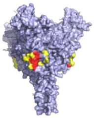 graphic file with name pathogens-10-01201-i001.jpg