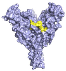 graphic file with name pathogens-10-01201-i008.jpg