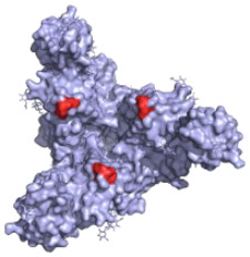 graphic file with name pathogens-10-01201-i010.jpg