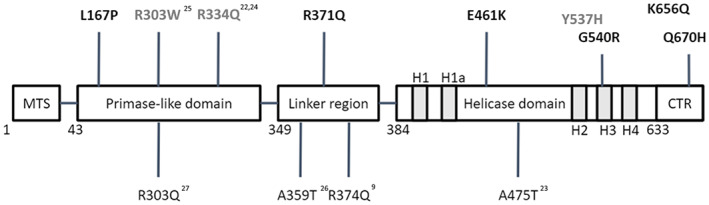 FIG 1