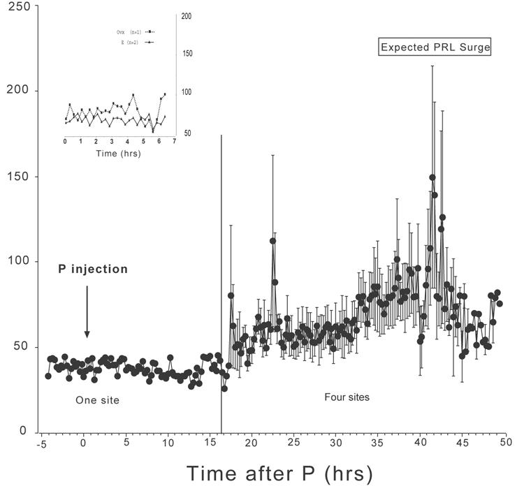 Fig. 3