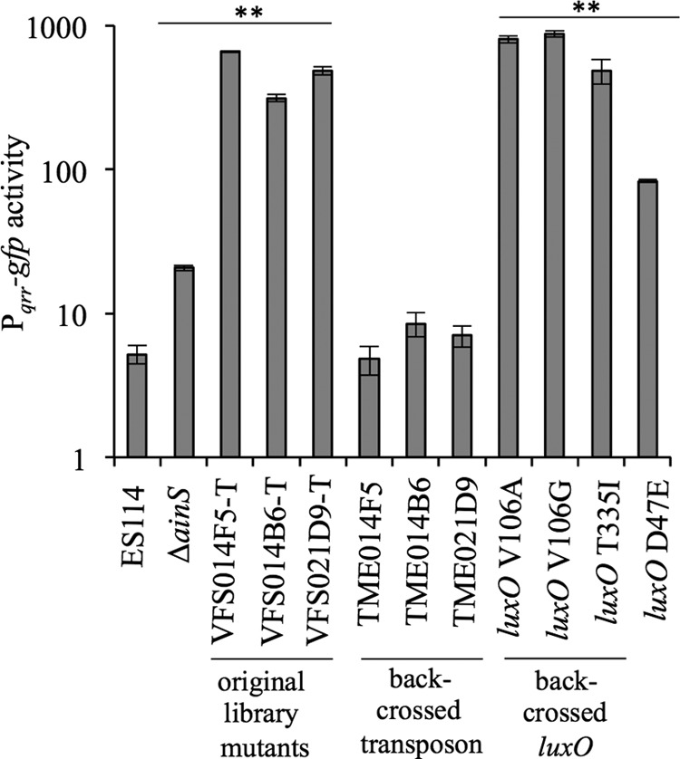 FIG 3