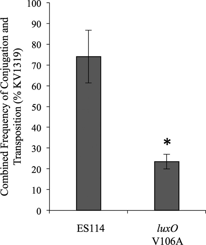 FIG 6