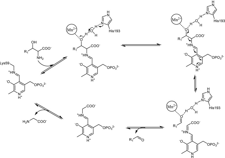 Scheme 3