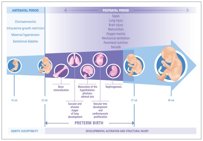 Figure 1: