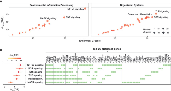 Figure 2