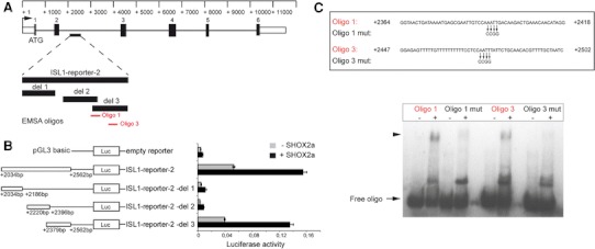 Fig. 3