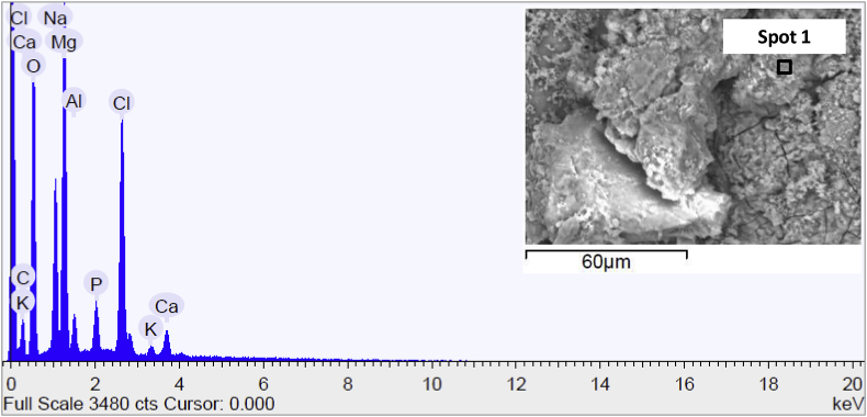 Fig. 8