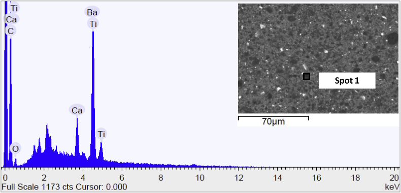 Fig. 12