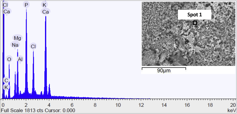 Fig. 10